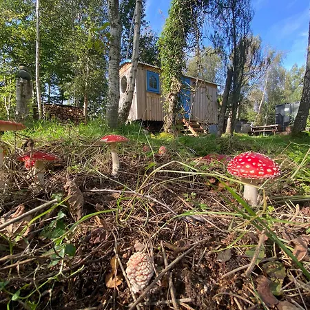 Sapphire Forest Garden Shepherd'S Hut Church Stretton Exterior photo