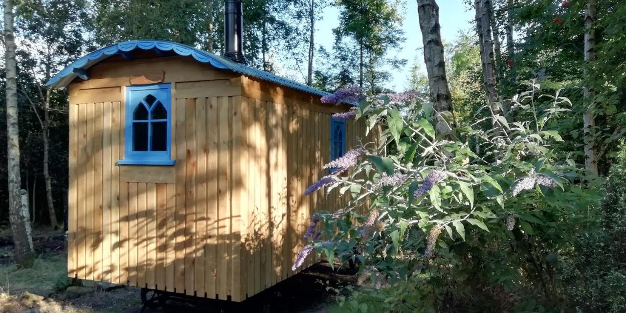 Chalet Sapphire Forest Garden Shepherd's Hut