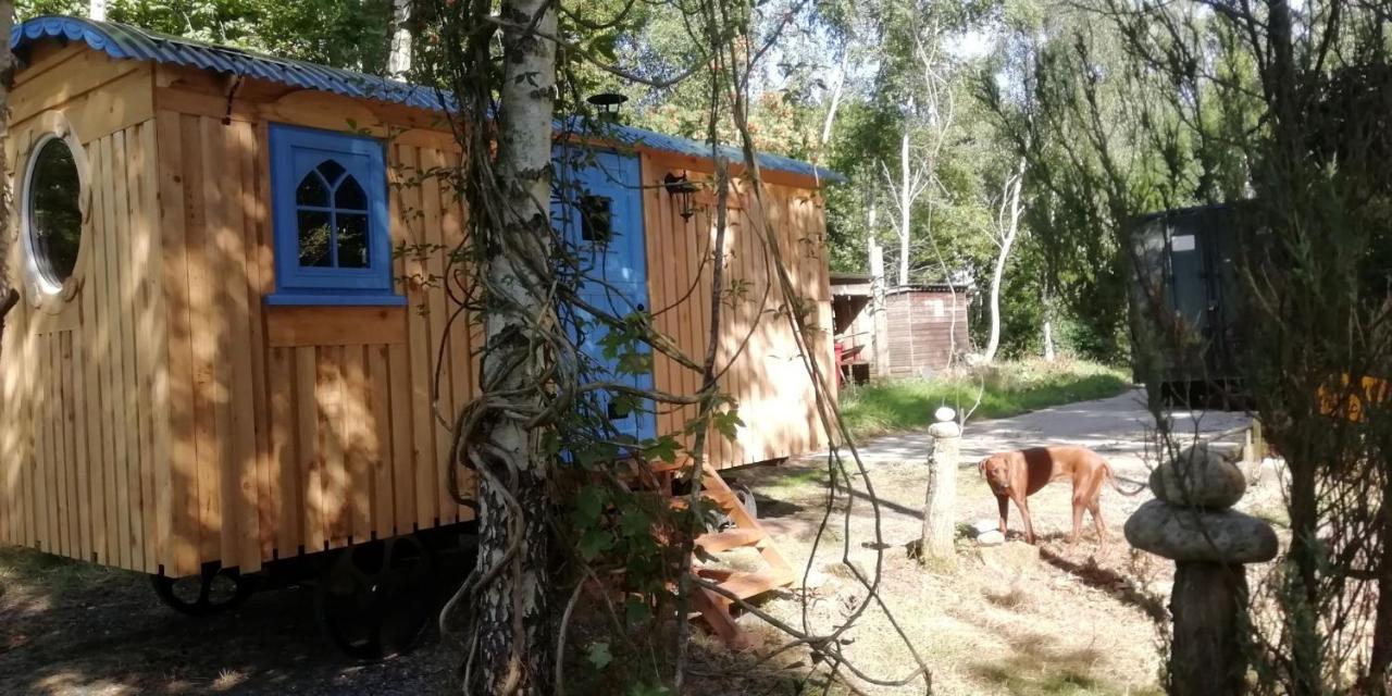 Chalet Sapphire Forest Garden Shepherd's Hut