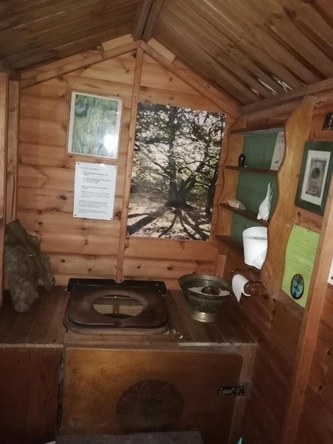 Chalet Sapphire Forest Garden Shepherd's Hut Church Stretton