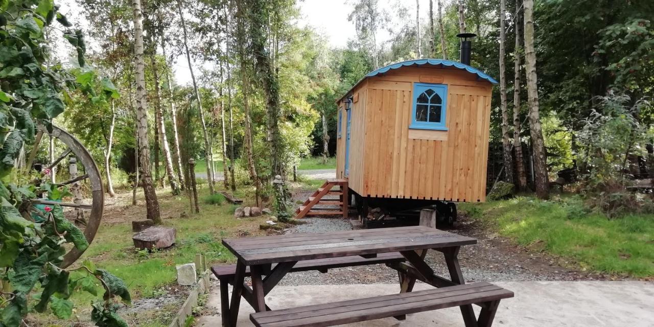 Sapphire Forest Garden Shepherd's Hut Chalet *