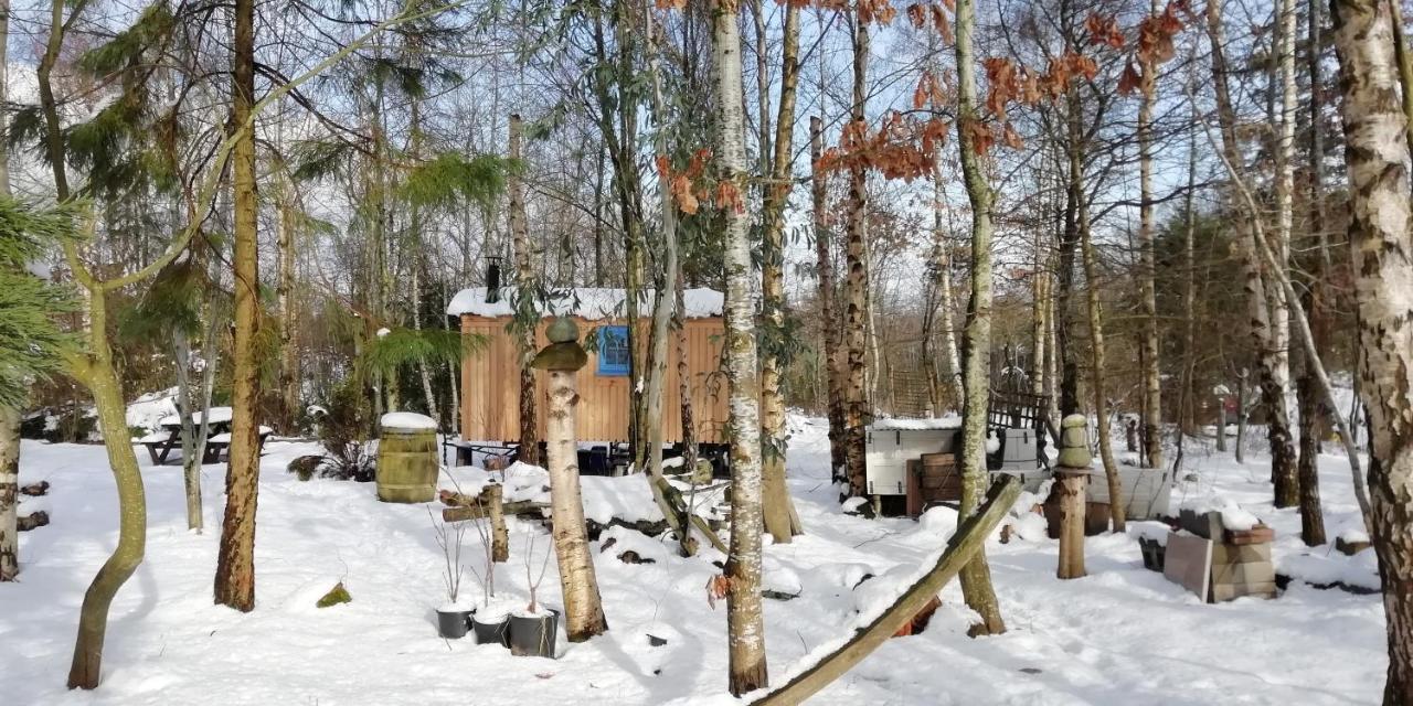 Sapphire Forest Garden Shepherd's Hut Church Stretton